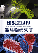 如果這世界微生物消失了 